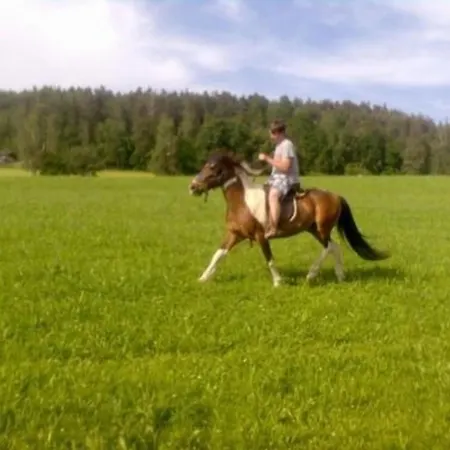 In Daire *